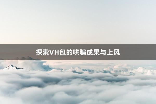 探索VH包的哄骗成果与上风